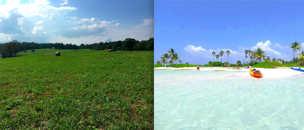 northern-va-and-cayman-islands