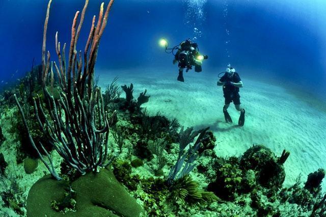 Website design for the Scuba Diving Industry, Bahamas