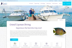 The Symbiotic Relationship Between Web Design and SEO
